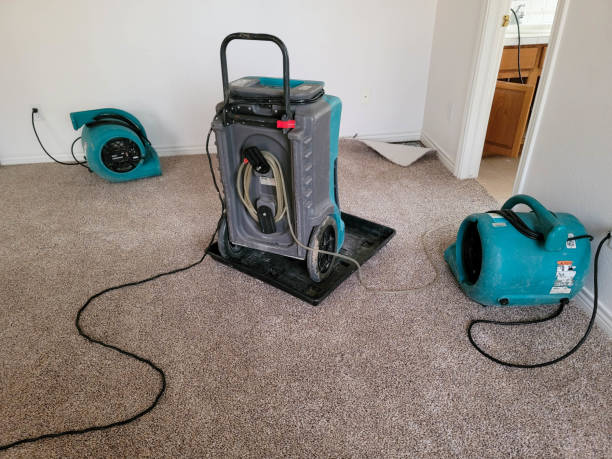 Best Flood restoration services  in Sterling, KS
