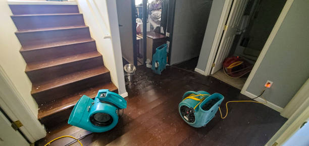 Best Basement water damage restoration  in Sterling, KS