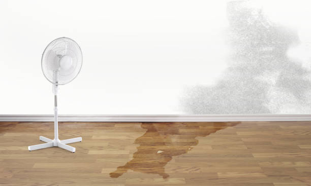 Best 24/7 water damage repair  in Sterling, KS