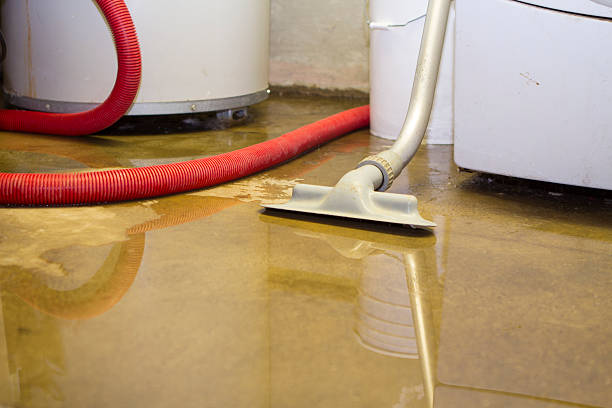 Best Flood restoration services  in Sterling, KS