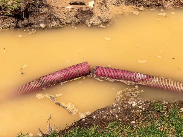 Best Water damage restoration process  in Sterling, KS