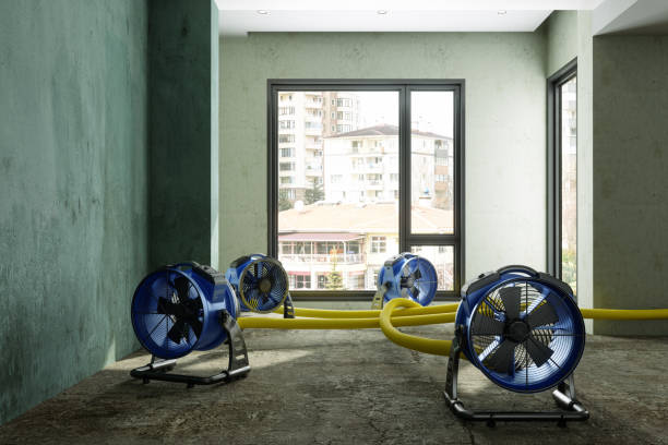 Best Water damage restoration near me  in Sterling, KS